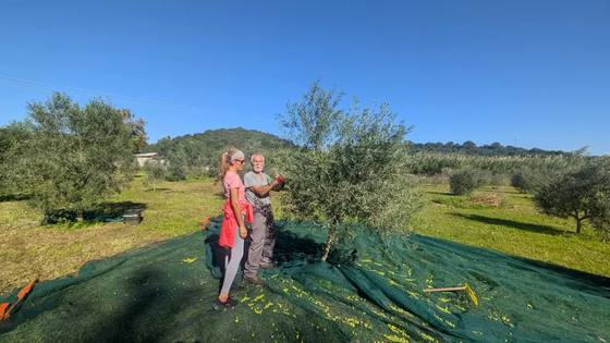 Fotografija številka 16